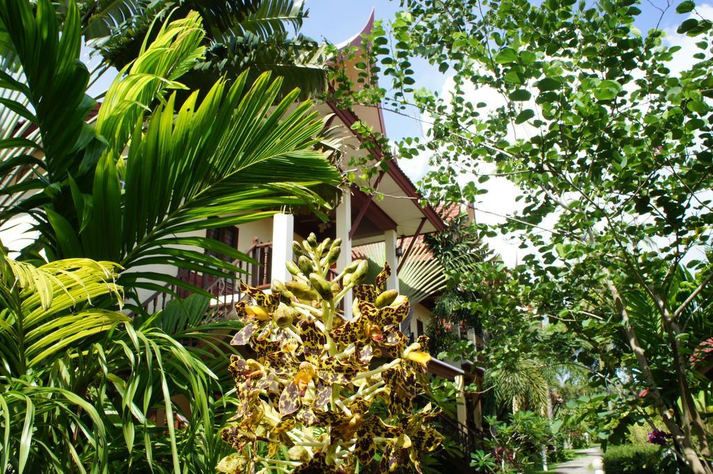 Palm Village Rawai Exterior photo
